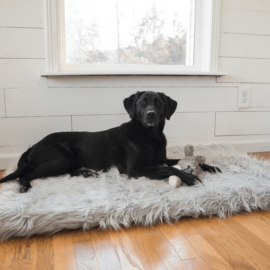 PupRug by Paw.com™ Faux Fur Orthopedic Dog Bed - Rectangle Grey
