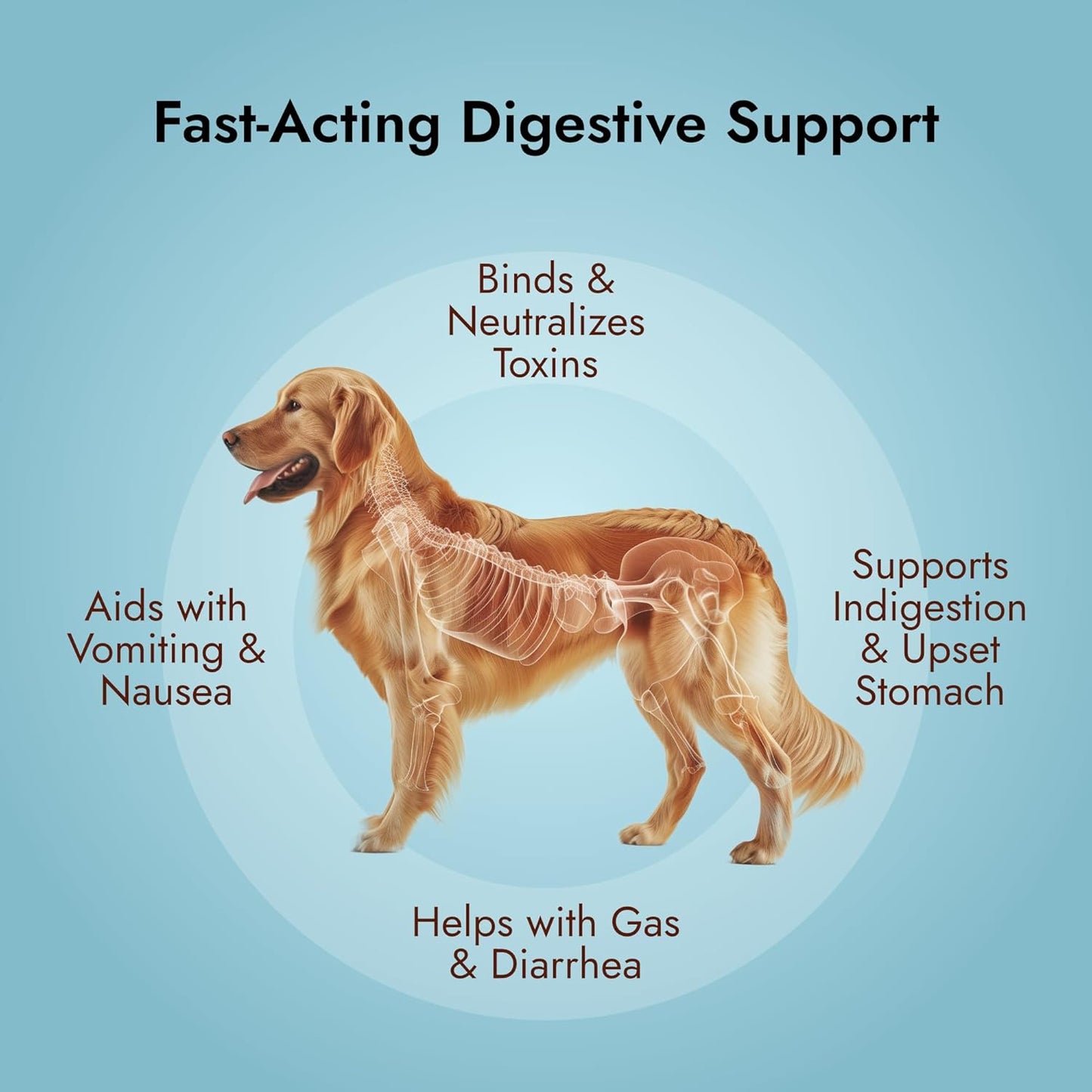 Pet Vet Activated Charcoal Gel for Dogs & Cats (60 mL) – Veterinary-Formulated, Natural Beef Flavor, Fast Toxin Adsorption for Poisoning, Stomach Upset, Diarrhea & Gas Relief – Made in USA