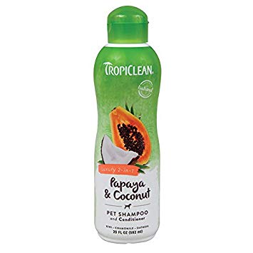 Papaya and Coconut 2-IN-1 SHAMPOO and CONDITIONER 20 OZ