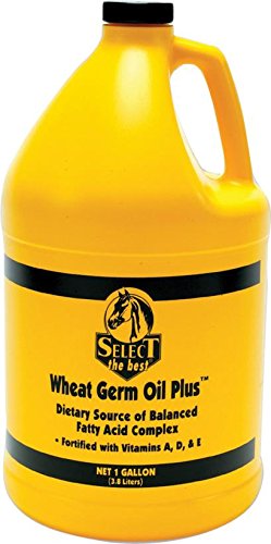 WHEAT GERM OIL PLUS™ ENERGY SUPPLEMENT FOR HORSES GALLON 1/PKG