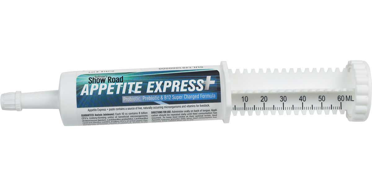 Show Road Appetite Express+ Paste