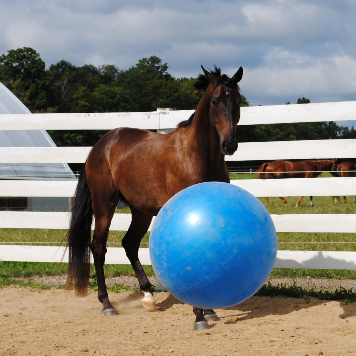 Jolly Mega Ball