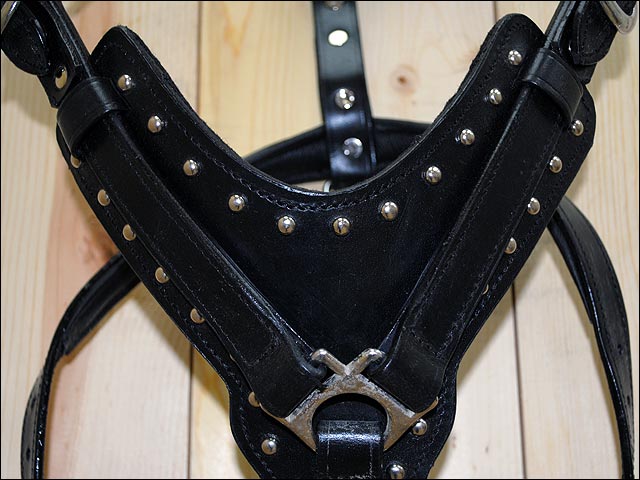 HILASON Genuine Leather Dog Harness Padded Matching Leash Black