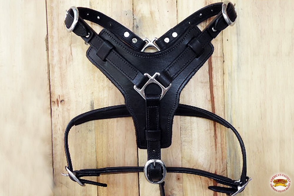 Large Leather Dog Harness Black Padded Genuine Matching Leash Hilason