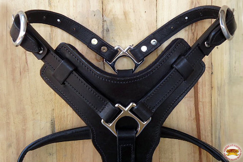 Large Leather Dog Harness Black Padded Genuine Matching Leash Hilason