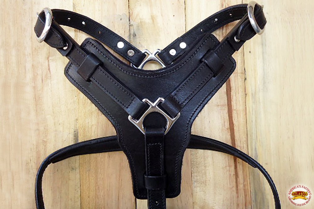 Large Leather Dog Harness Black Padded Genuine Matching Leash Hilason