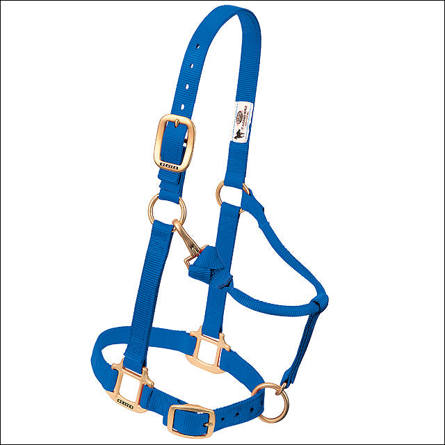 Blue Weaver Western Tack Adjustable Horse Halter 1" Average