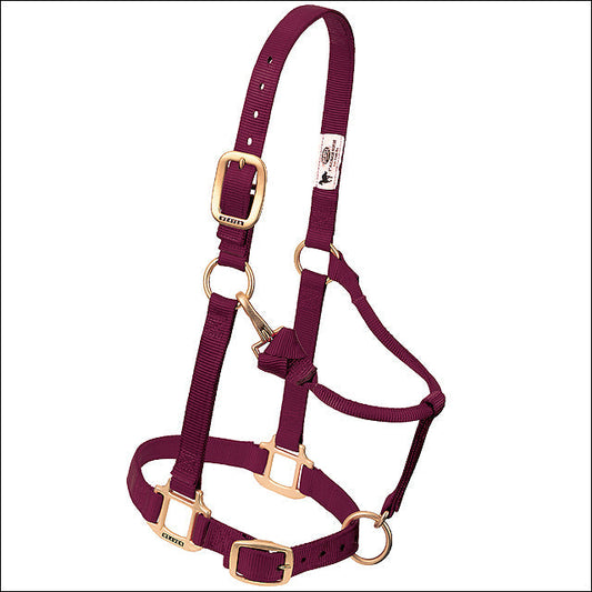 Large Weaver Horse Halter Nylon Heat Sealed Buckle Chin Throat Burgundy