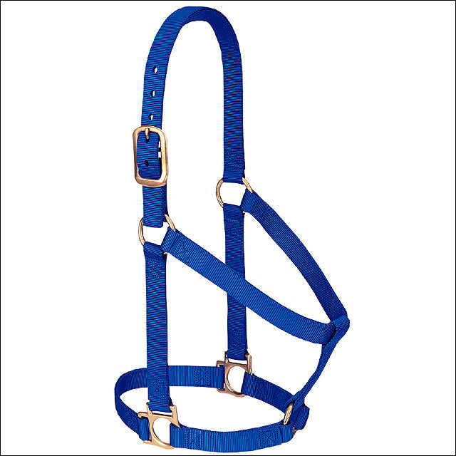 Blue Weaver Western Tack Basic Horse Halter 1" Average Weanling Draft