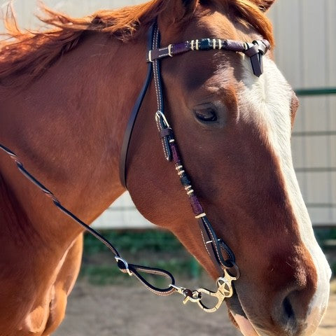 The Old 106 Snaffle