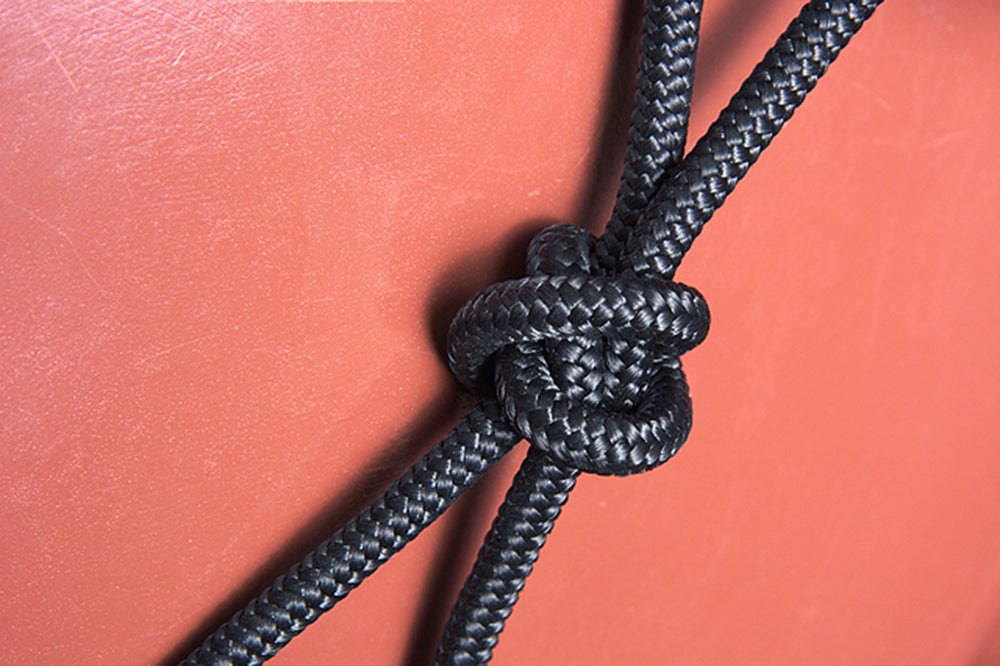 Classic Equine Horse Nylon Rawhide Noseband Halter Black White