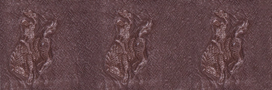 Bronco & Rider Embroidered Shirt - 5302