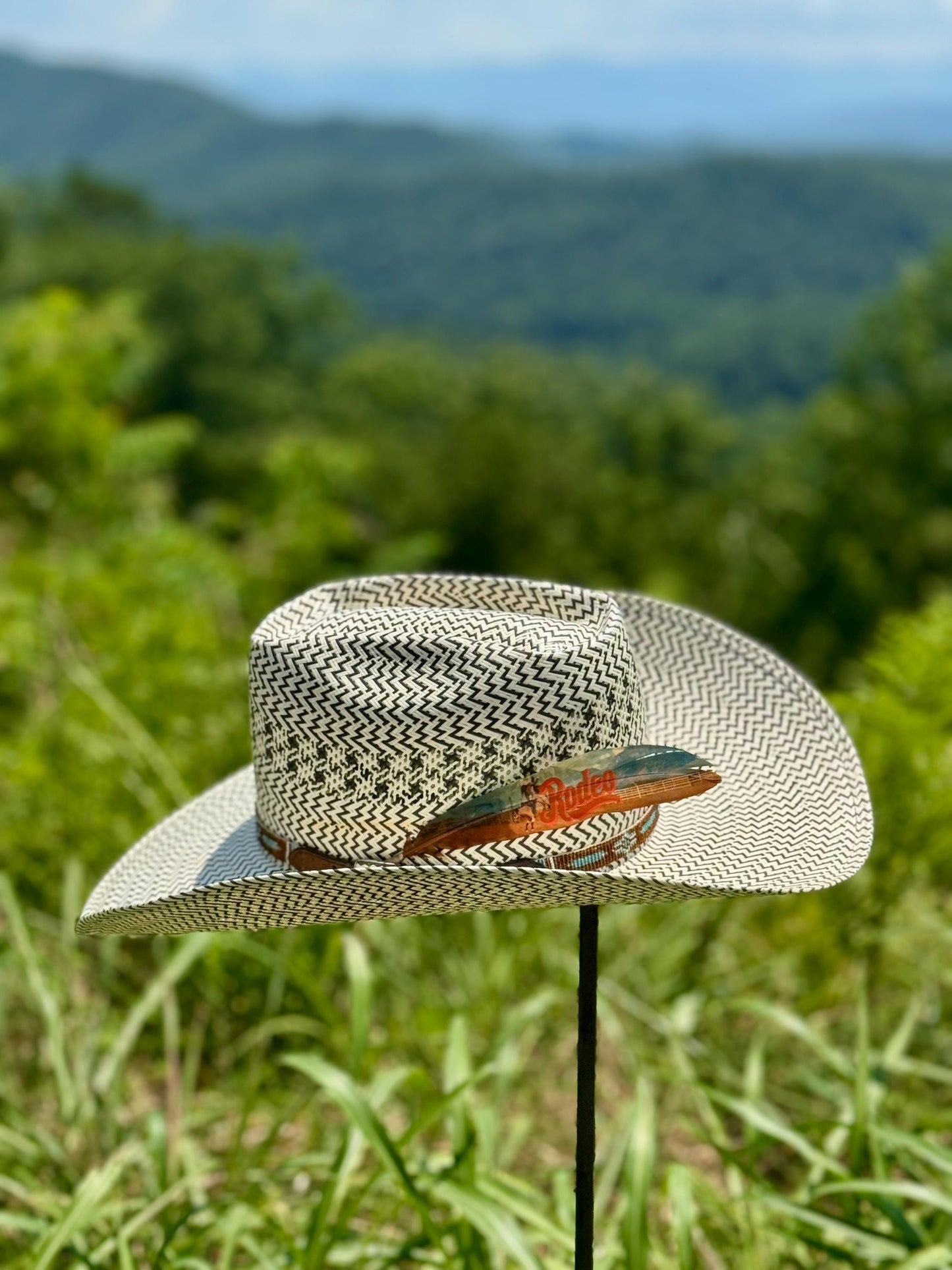 Rodeo Western Hat Feather