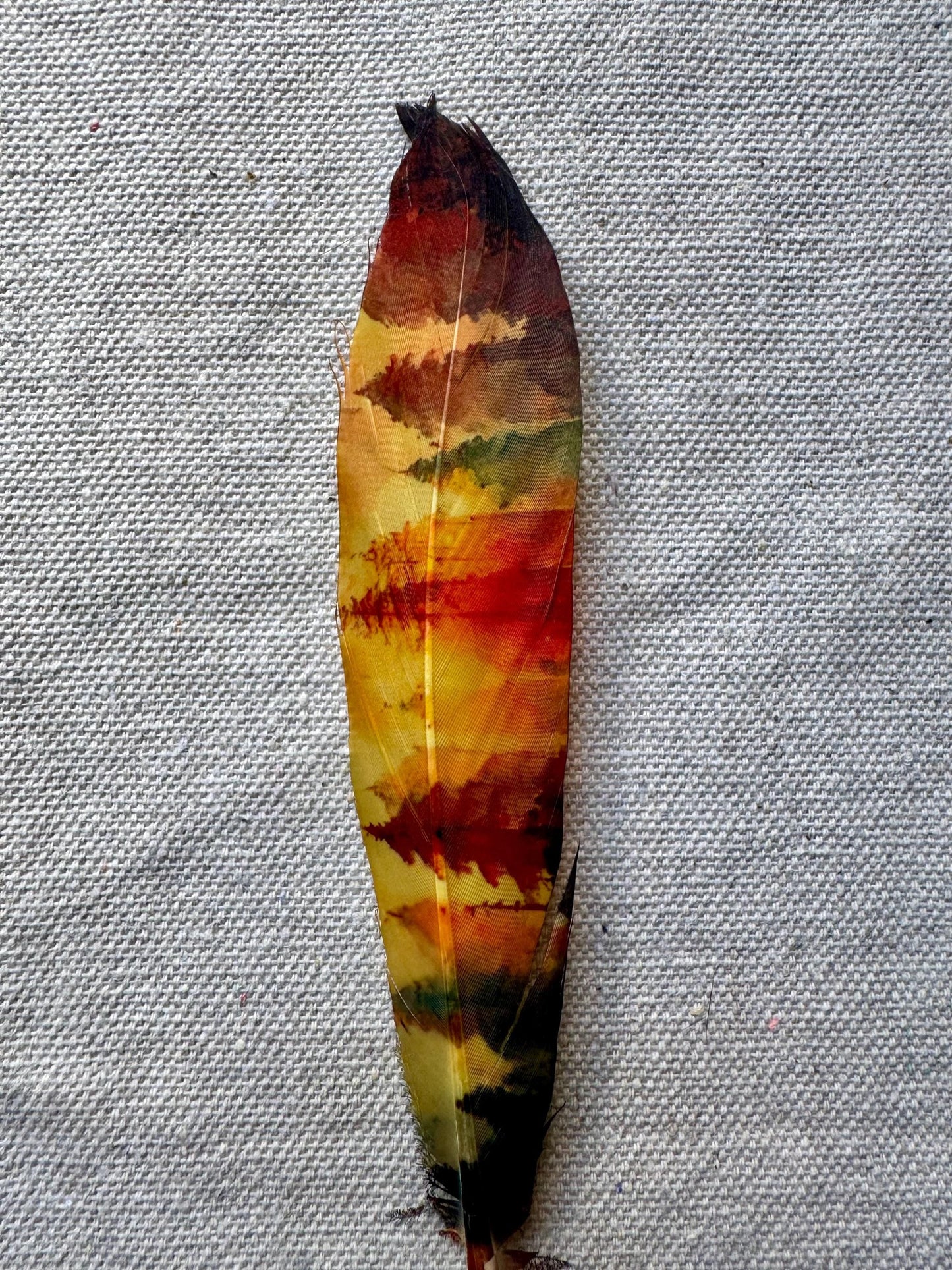 Watercolor Forest Western Hat Feather