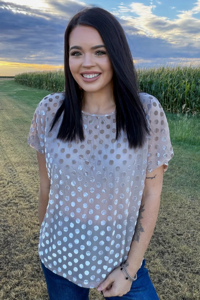 Mocha Dot velvet short sleeve mesh top