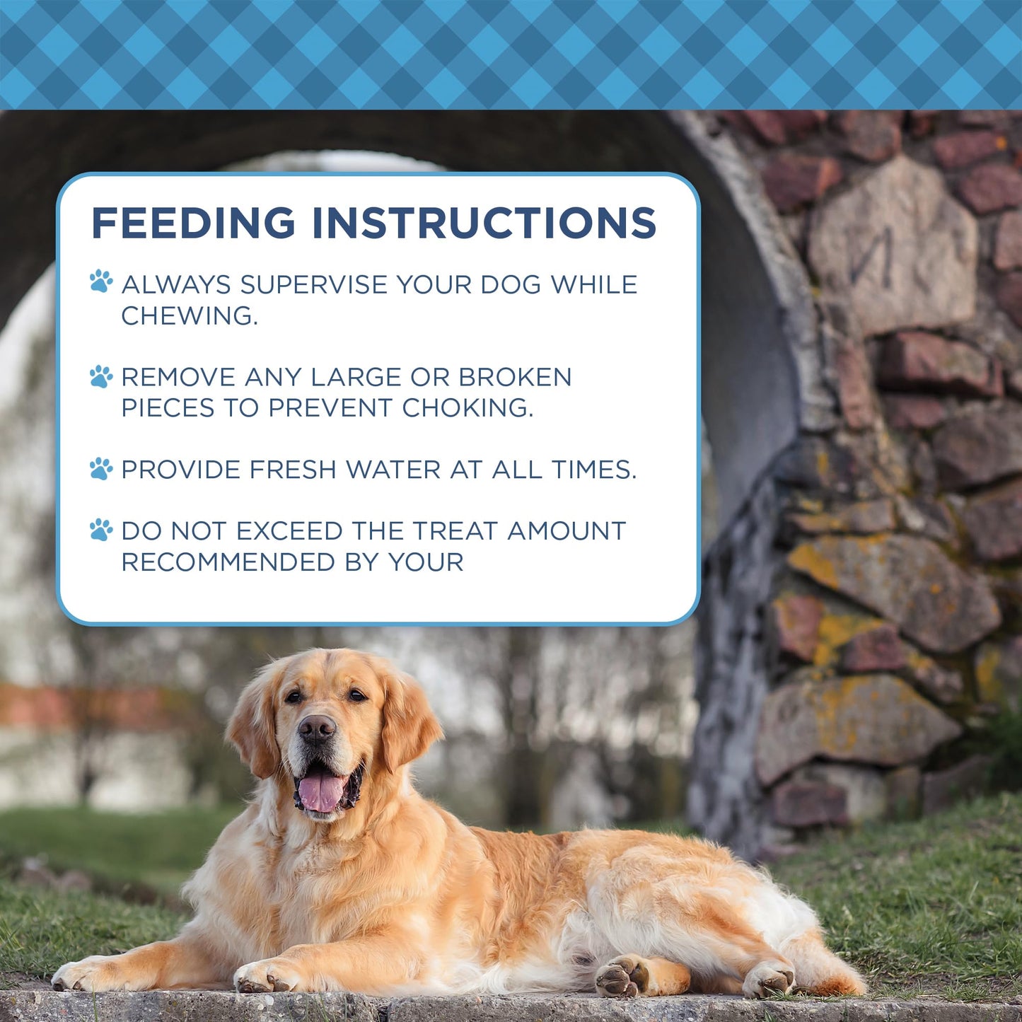 Country Living 5”-6” Beef Center Cut Bones for Dogs – 5 Count Bag – All-Natural, Long-Lasting Dog Chews – Single-Ingredient, High-Protein, Rawhide-Free – Supports Dental Health