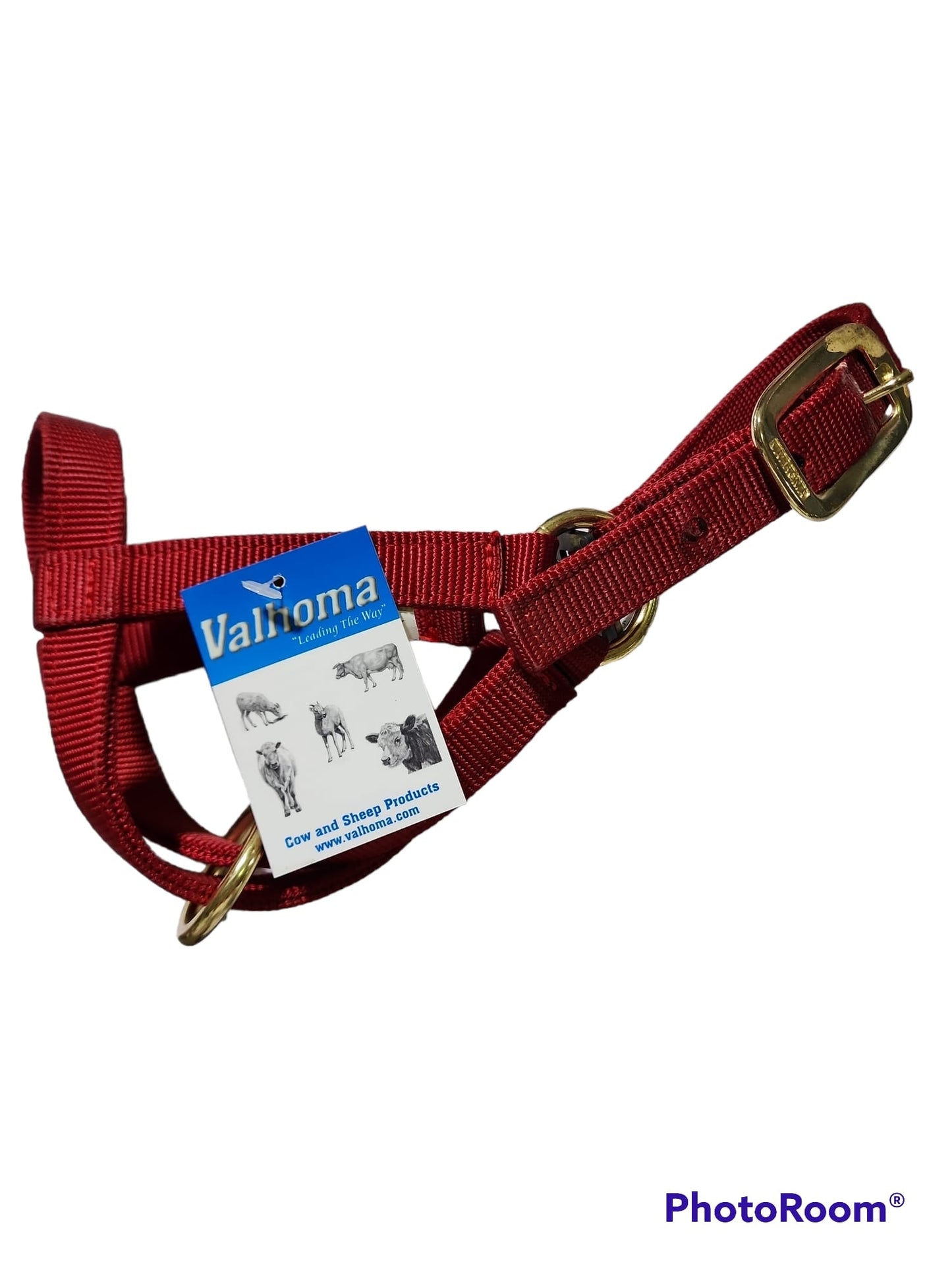 Valhoma: Halter - Goat Billy- Red