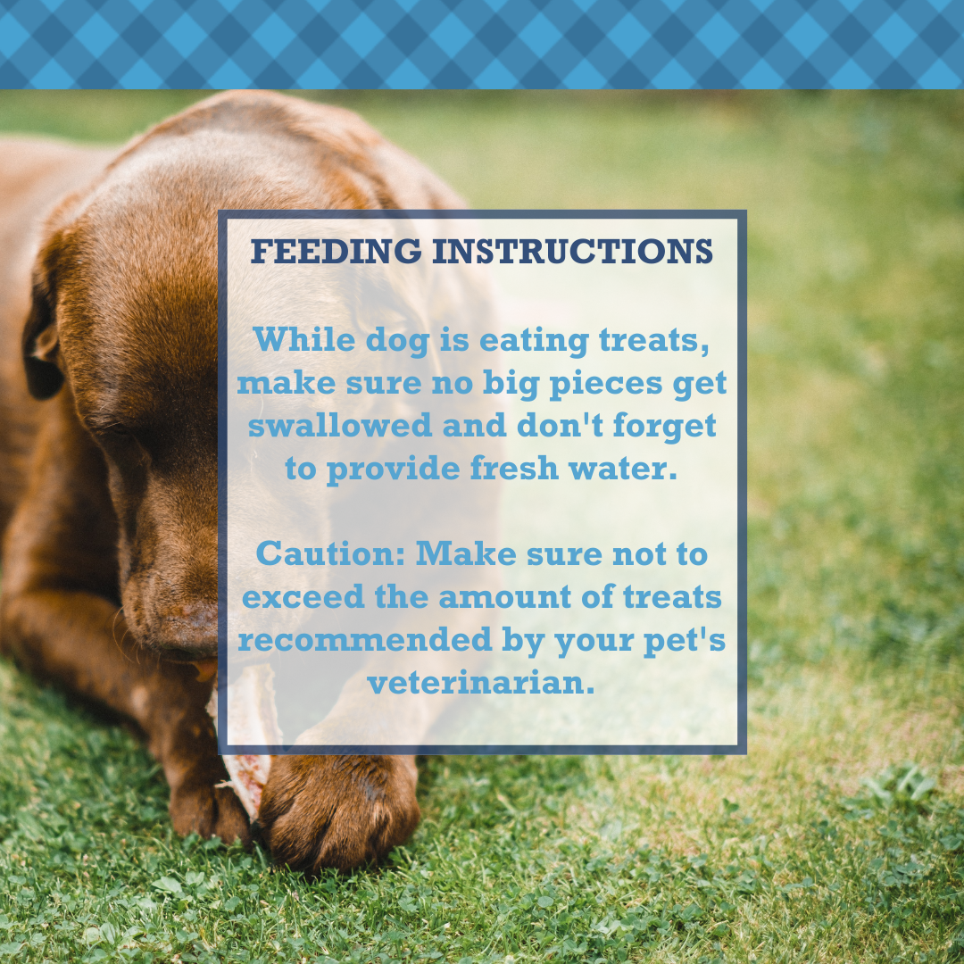 All-Natural Beef Y Tendon Dog Treats – High-Protein, Low-Fat Chews – Jumbo (10-Pack)