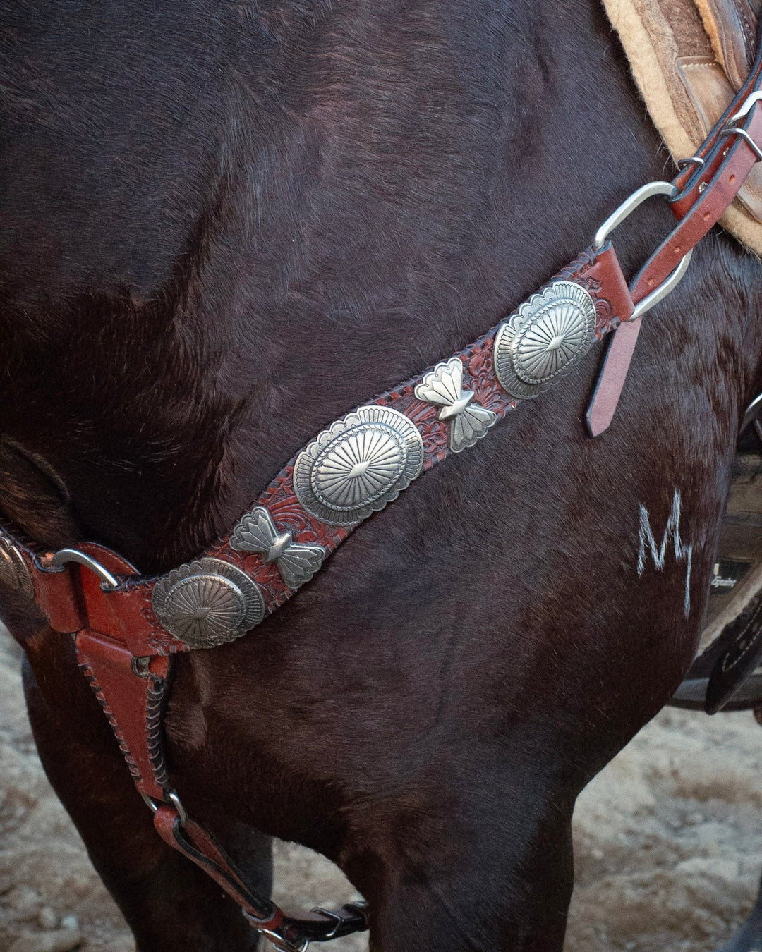 The Elko Breast Collar