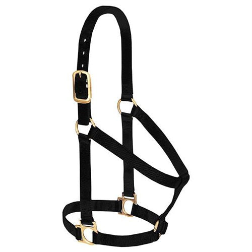 Basic Non-Adjustable Halter - Average Black
