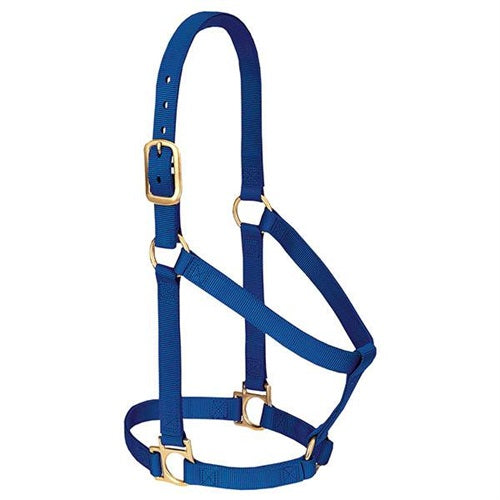 Basic Non-Adjustable Halter - Average Blue