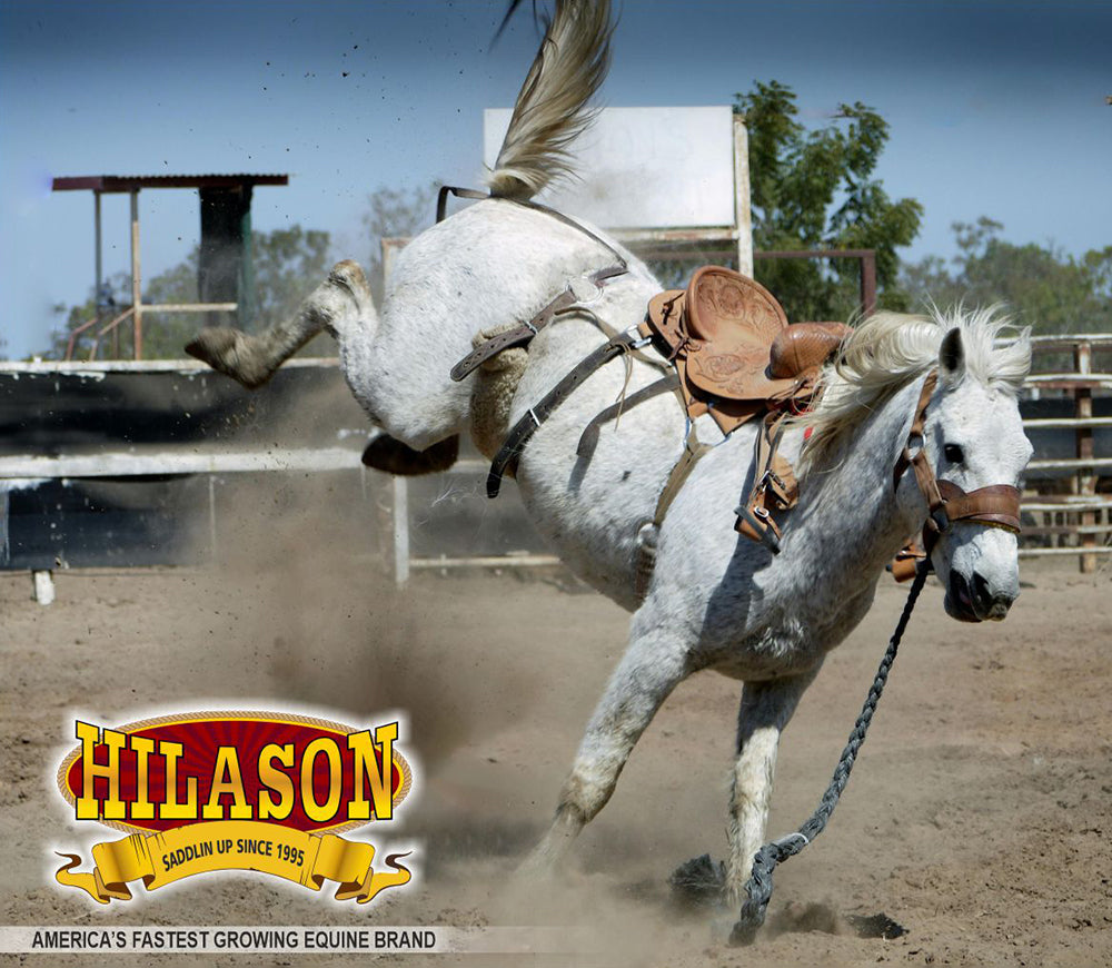 Horse Bronc Saddle Hilason Classic Series Rodeo American Leather
