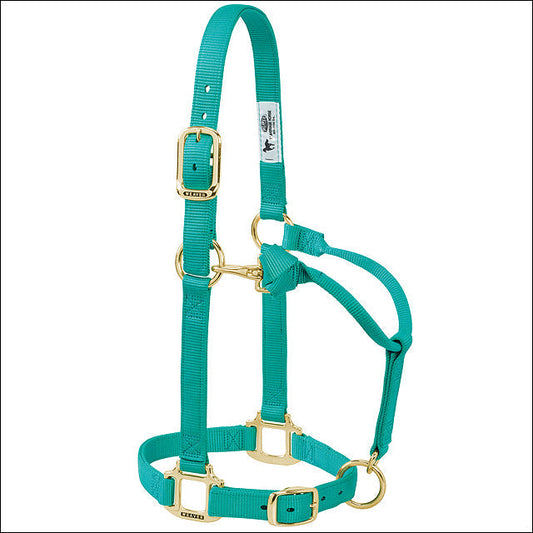 Weaver Nylon Heat Sealed Buckle Halter Adjustable Small Horse Emerald Green