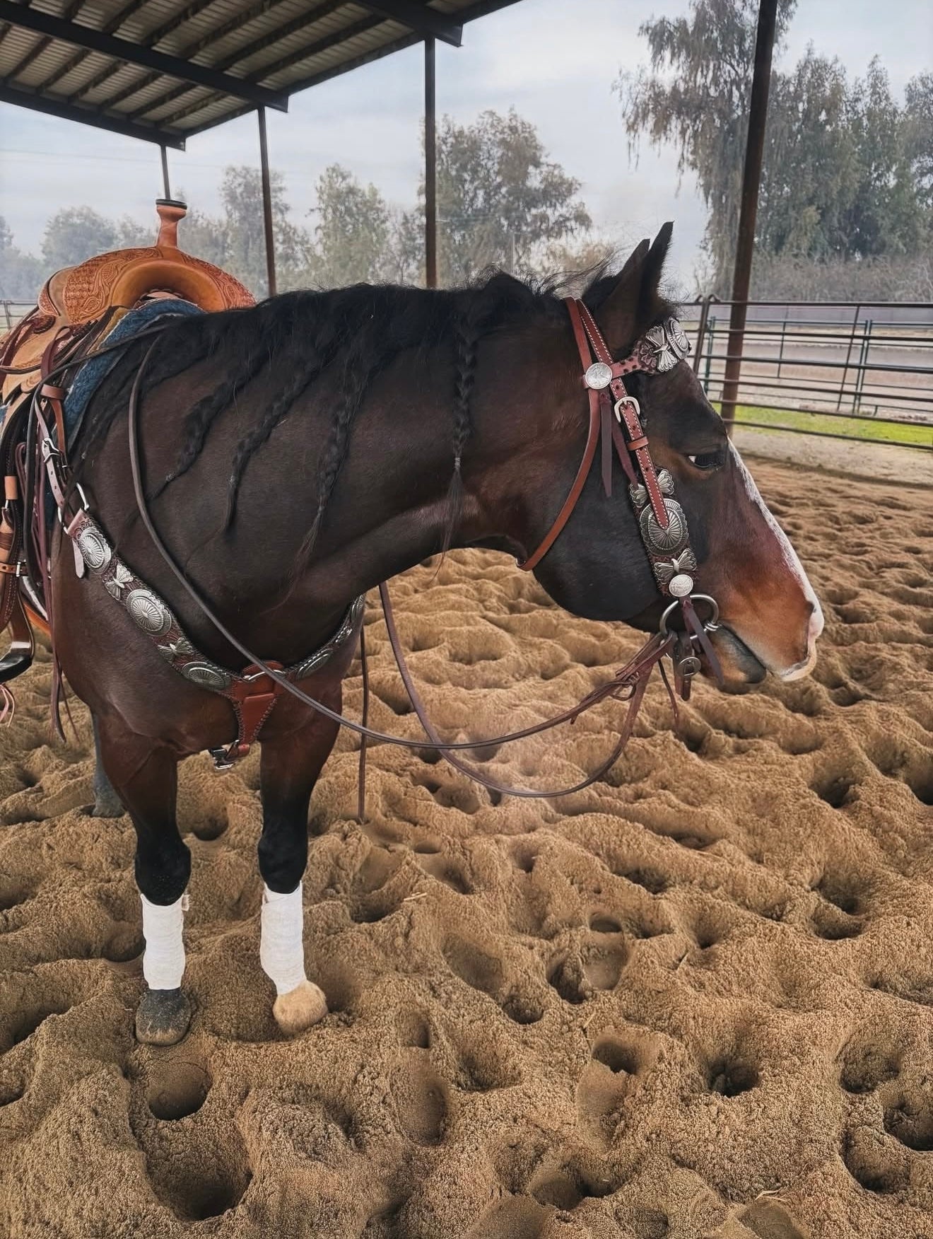 The Dinero Headstall