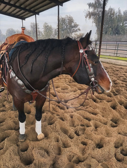 The Dinero Headstall