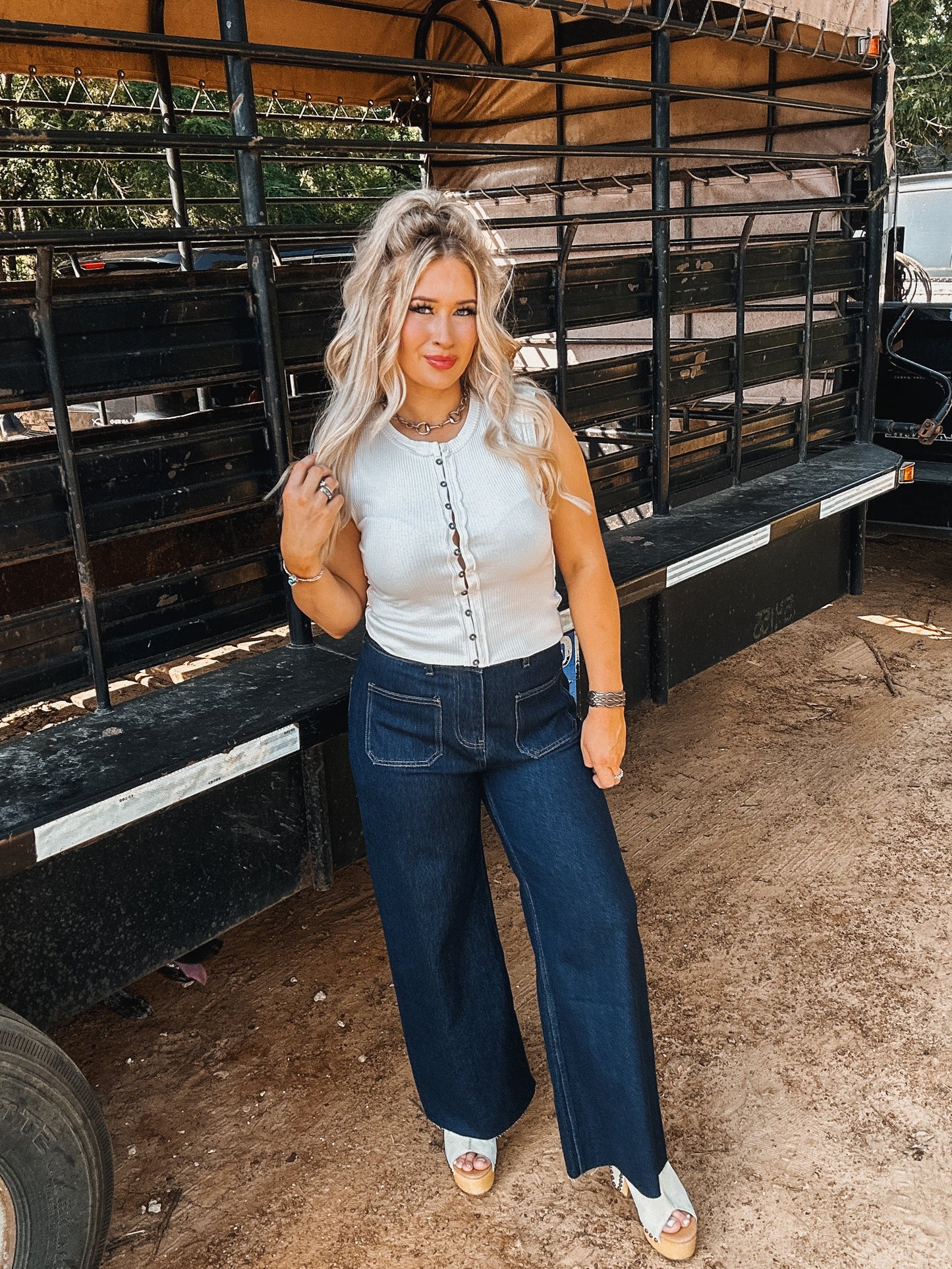 The Shannon Top