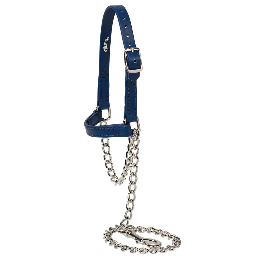 MEDIUM Sheep and Goat Brahma Webb® Halters, blue