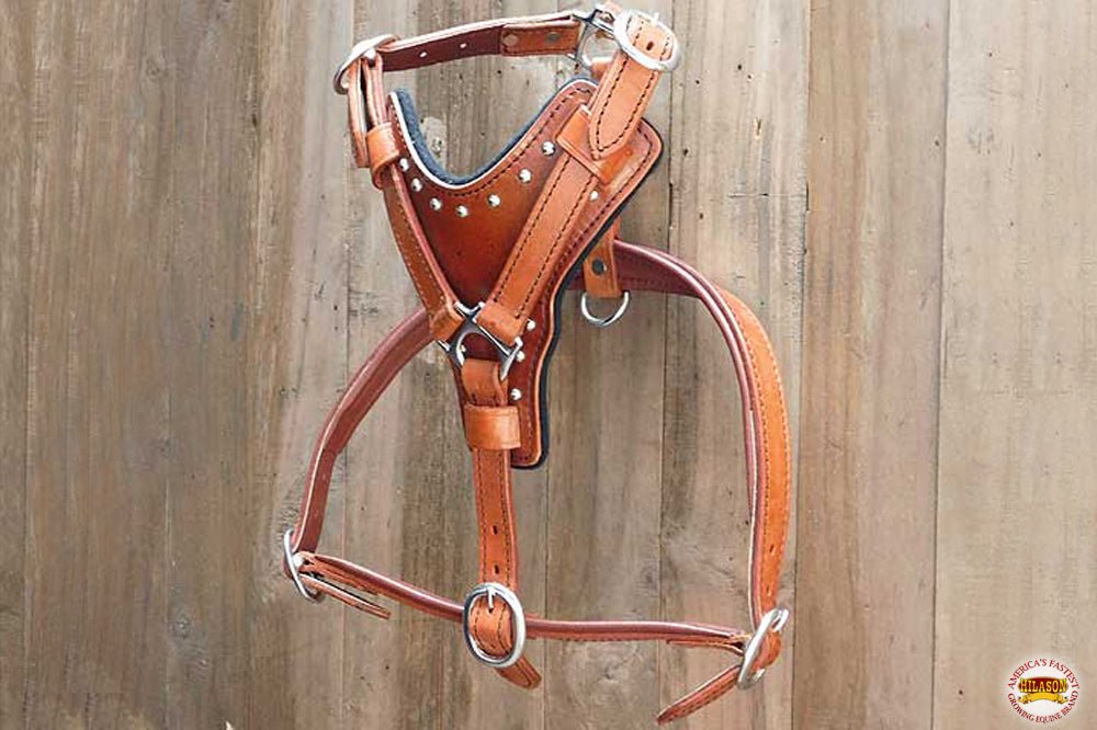 Large Leather Dog Harness Mahogany Genuine With Matching Leash Hilason