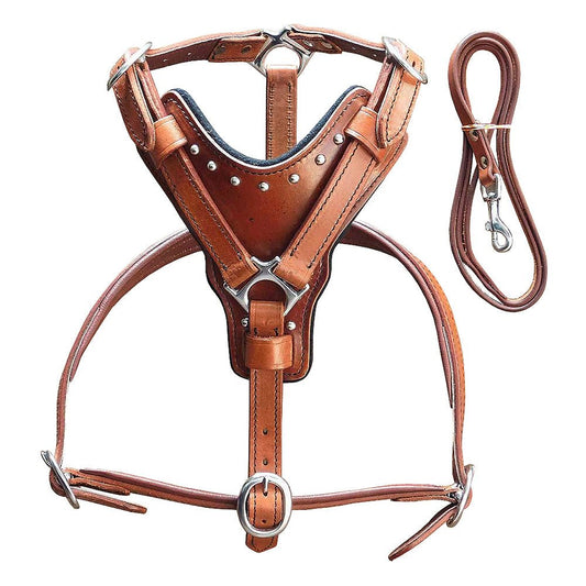 Large Leather Dog Harness Mahogany Genuine With Matching Leash Hilason
