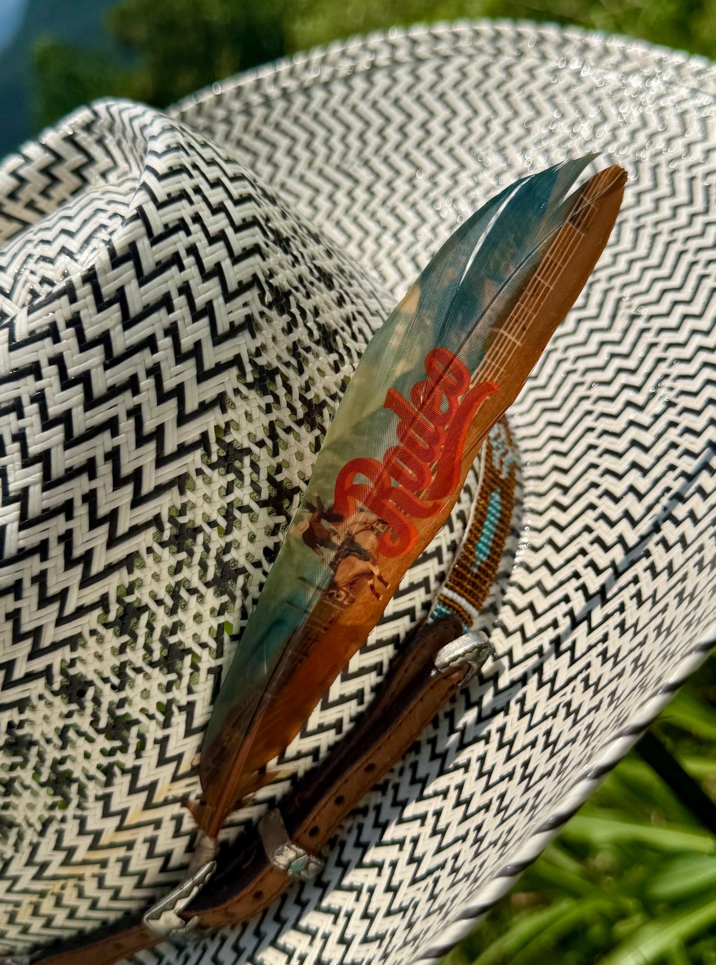 Rodeo Western Hat Feather