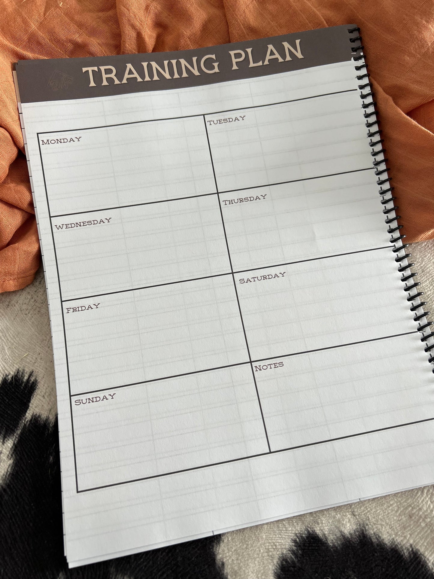 Gold Buckle Dreams Rodeo Book