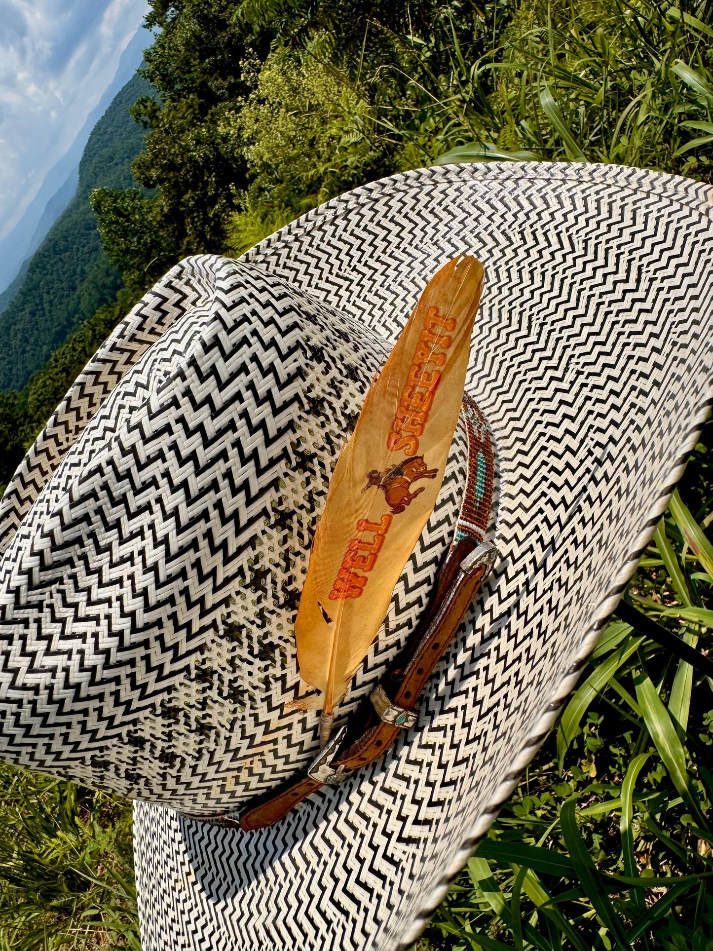 Well Sheeyit Bronc Rider Western Hat Feather