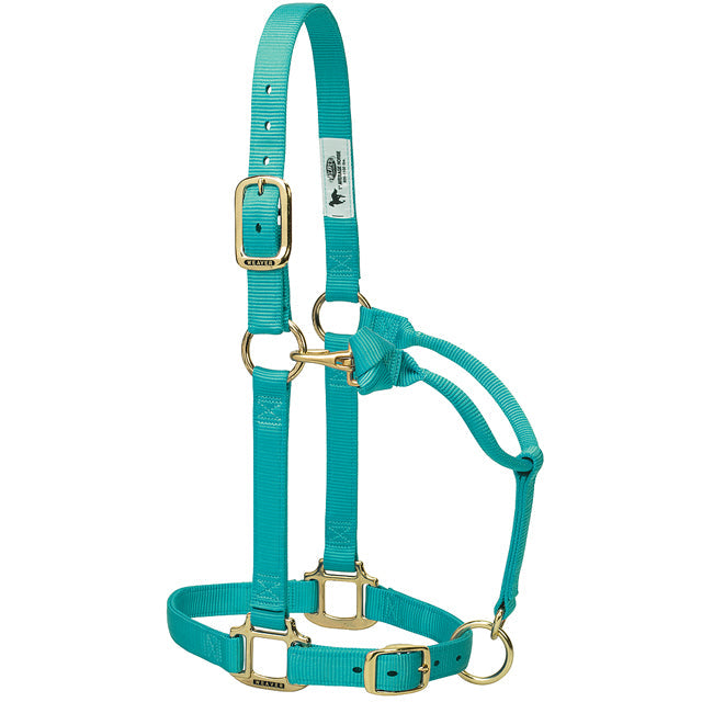 Yearling Weaver Original Adjustable Chin Throat Horse Snap 1" Nylon Halter Mint