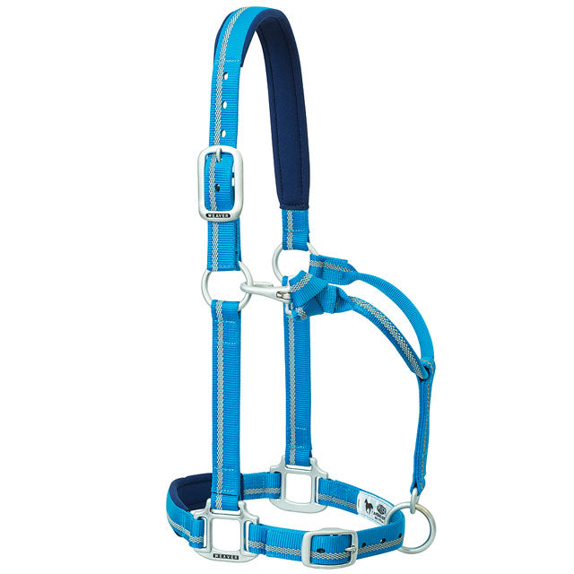 Average Weaver Nylon Padded Reflective Stripe Adjustable Horse Halter Blue