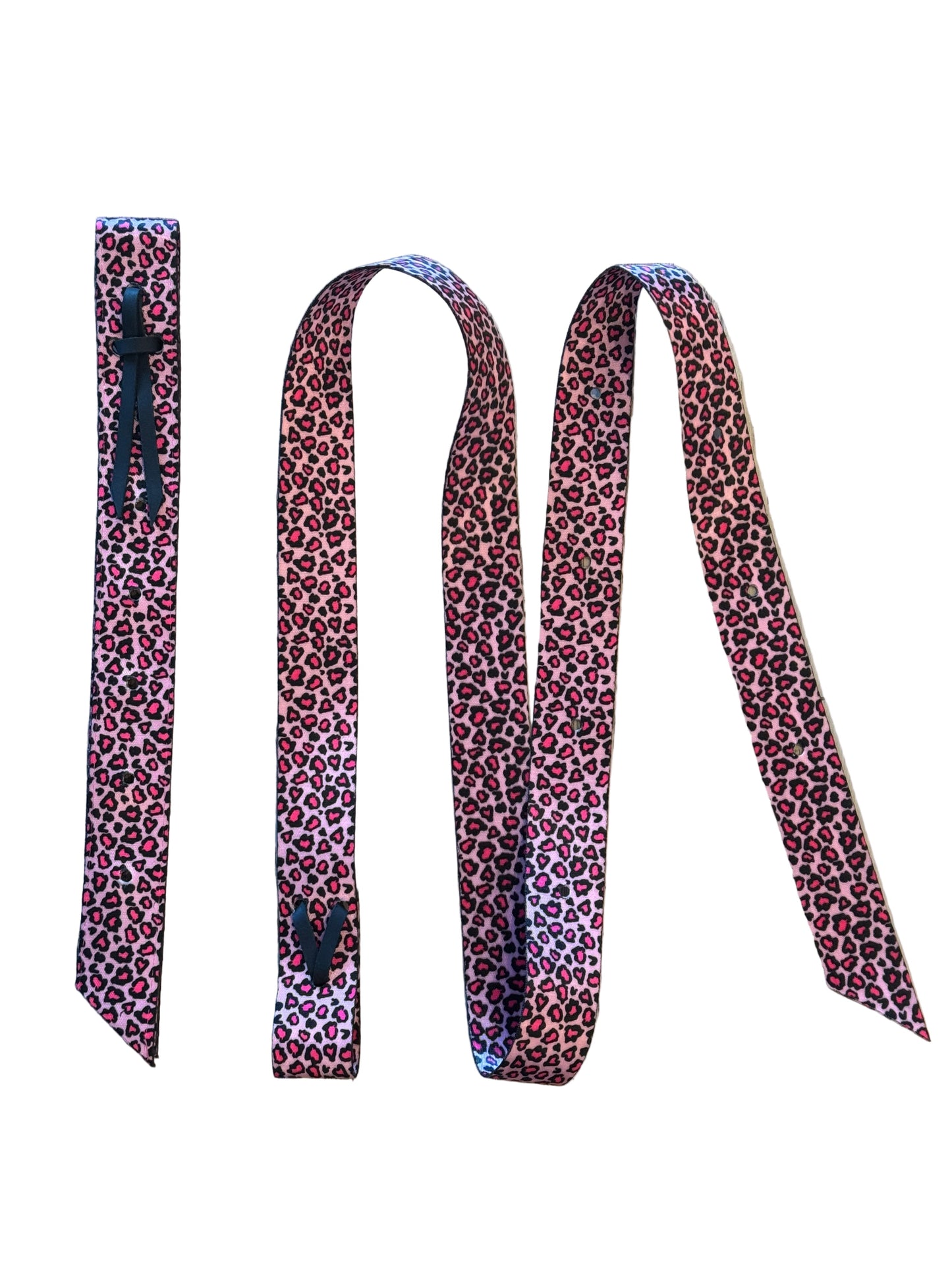 Catty Cowgirl Nylon Latigo and Off Billet Set