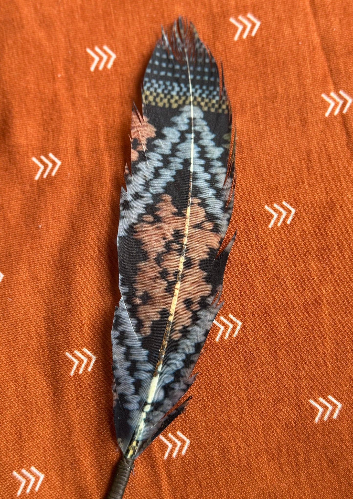 Night Weaver Western Hat Feather