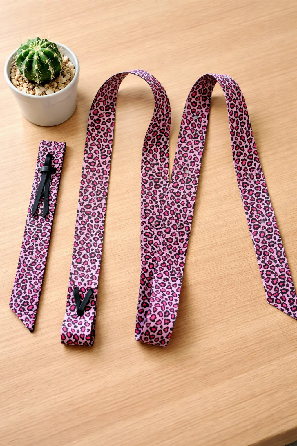 Catty Cowgirl Nylon Latigo and Off Billet Set