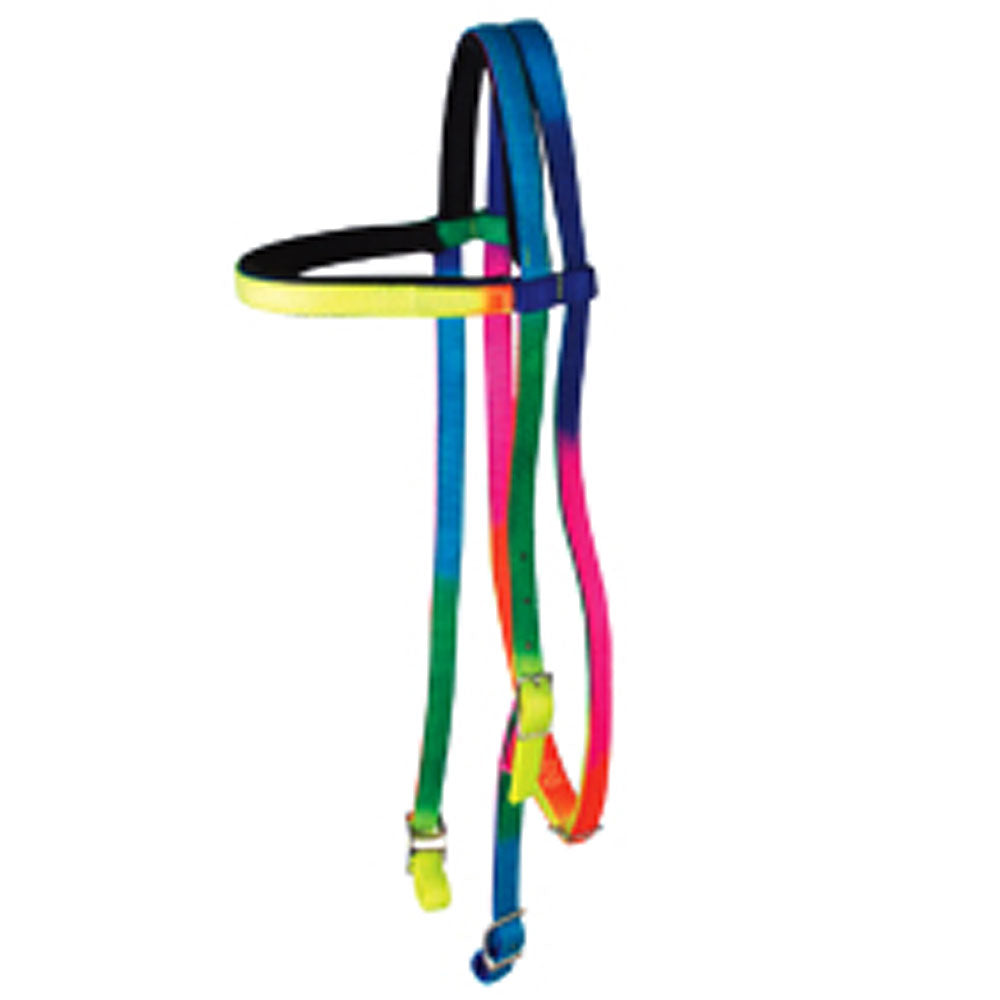 3/4" Hilason Browband 2 Ply Nylon Nickel Plated Hardware Headstall Rainbow