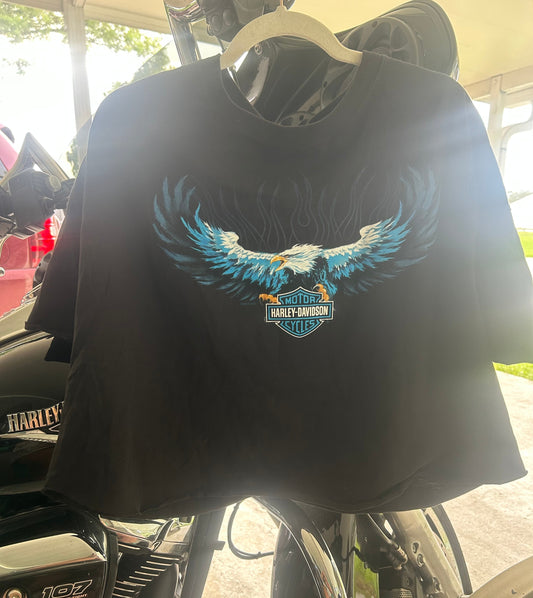 2013 Flamin Eagle Cropped Tee-3x
