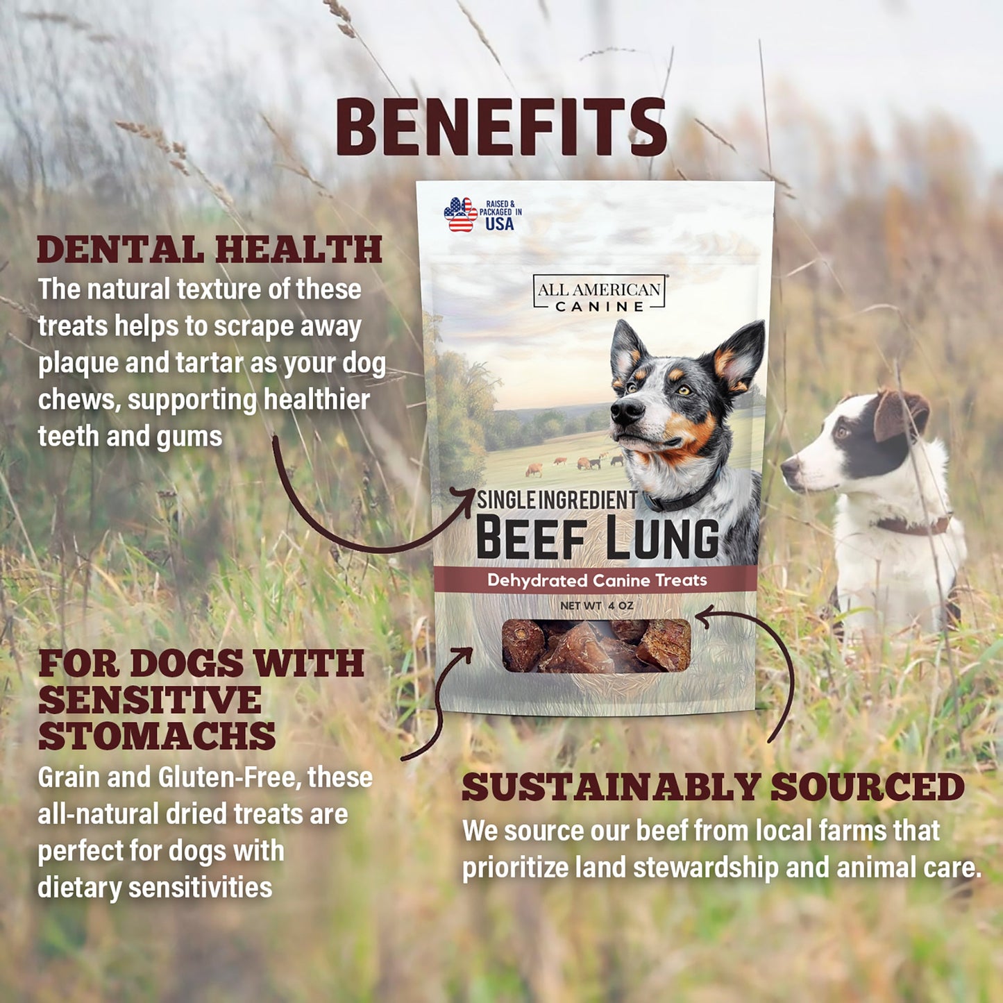 Dehydrated Beef Lung - 3 oz