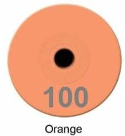 SMALL MALE ORANGE