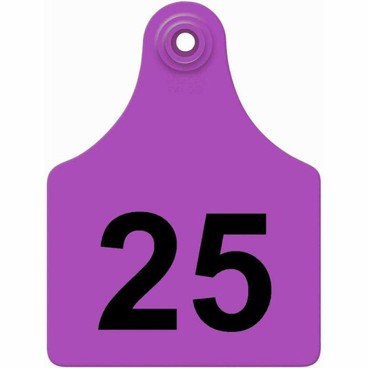 51-75 PURPLE Allflex: Maxi Fem/Sm Male