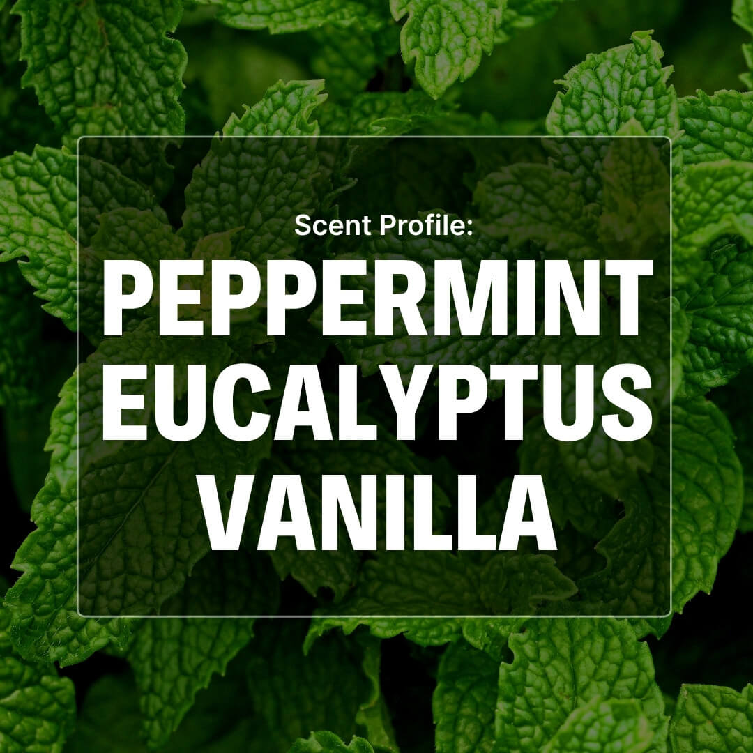 Arctic Chill Beard Wash - Mint, Eucalyptus, Vanilla