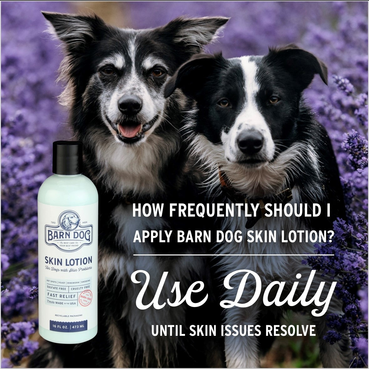 Barn Dog Skin Lotion