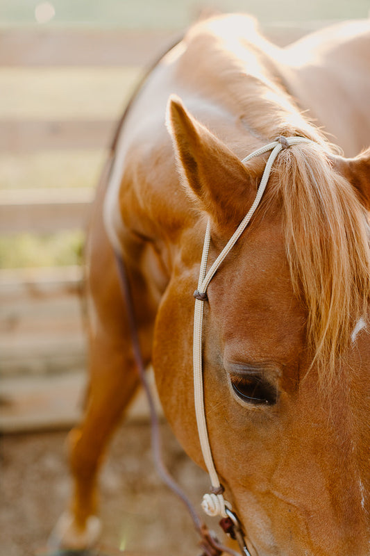Hand Tied Rope Headstall