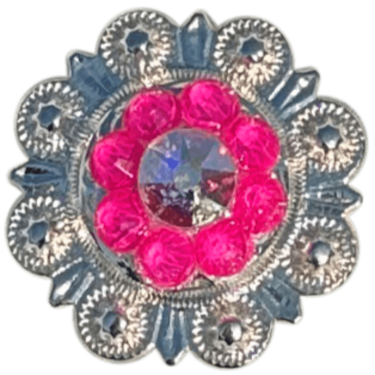 Bright Silver Neon Pink and AB